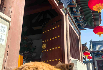 净土寺第 32 张图片