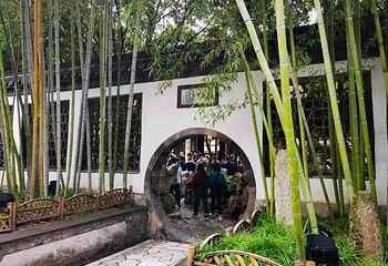个园第 170 张图片