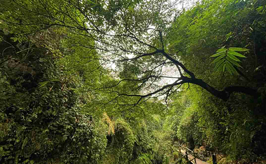 金刀峡第 33 张图片