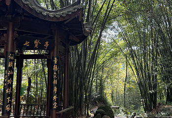 蜀南竹海第 43 张图片