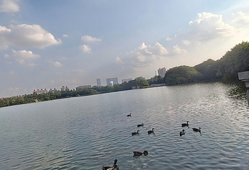 海珠湖公园第 22 张图片