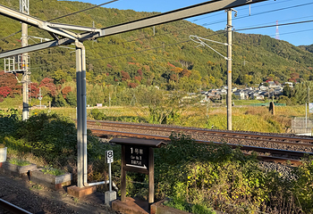 岚山嵯峨野观光小火车第 39 张图片