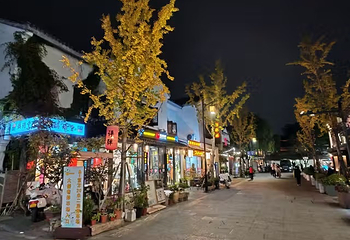 平江路历史街区第 210 张图片