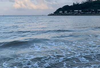 黑沙海滩第 26 张图片
