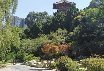 兴庆宫公园第 117 张图片
