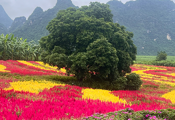 峒那屿湾景区第 146 张图片