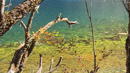 九寨沟风景区第 423 张图片