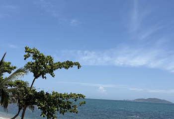 天涯海角第 275 张图片