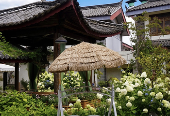 束河古镇第 37 张图片