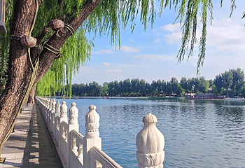 什刹海风景区第 145 张图片