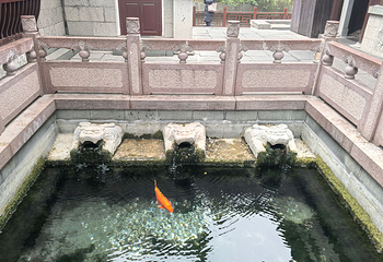 趵突泉景区第 240 张图片