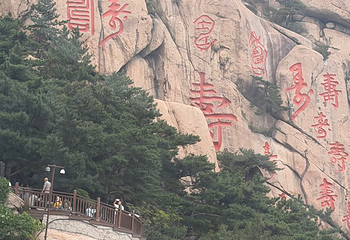 崂山风景区第 289 张图片