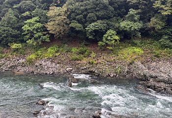 岚山嵯峨野观光小火车第 70 张图片