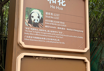 成都大熊猫繁育研究基地第 418 张图片