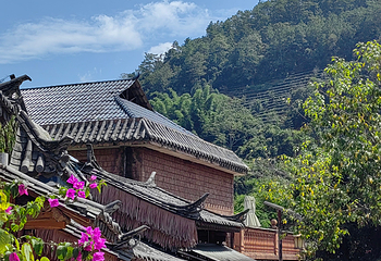 那柯里村第 18 张图片
