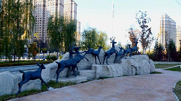 群力新区金河公园-三期