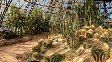 仙人掌及多肉植物馆
