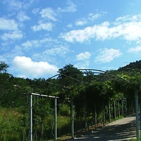 小南山