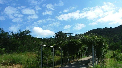小南山第 1 张图片