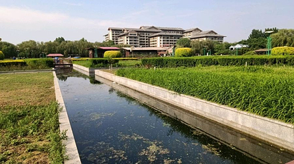 保定市林草生态园-中央公园第 1 张图片