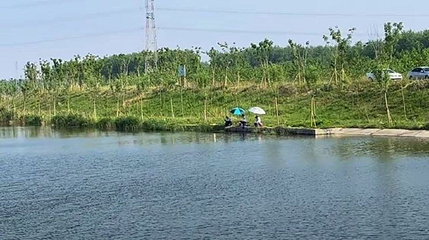 白鹭湾湿地第 1 张图片