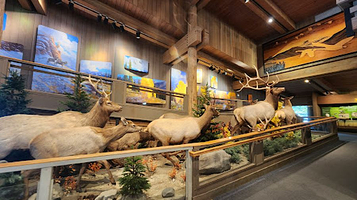 National Elk Refuge Observation Viewing Area