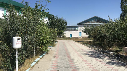 Tatar Mosque第 1 张图片