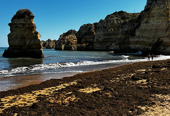 Praia de Dona Ana第 14 张图片