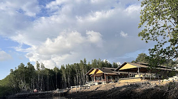 Sungai kawang beringis