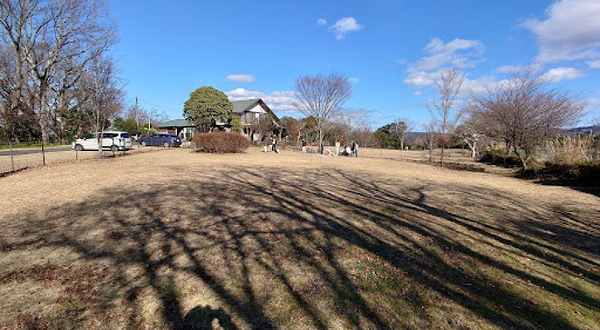 伊豆ドッグランド