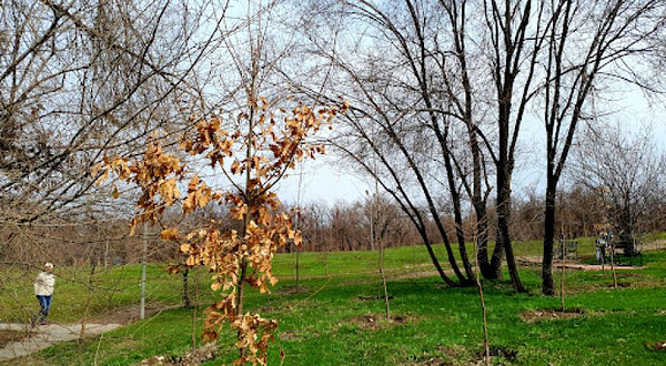 Yuzhnaya Roshcha Na Atakente