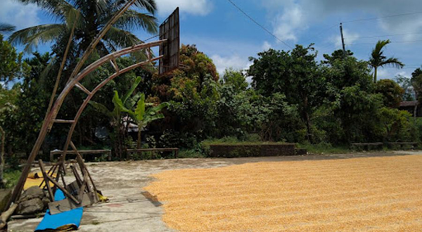 Libtong Sadit Palitada