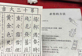 浅草寺第 130 张图片