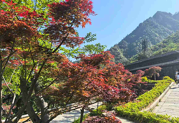 浙江大明山地质公园第 146 张图片