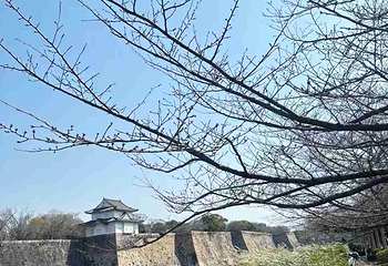 大阪城公园第 253 张图片