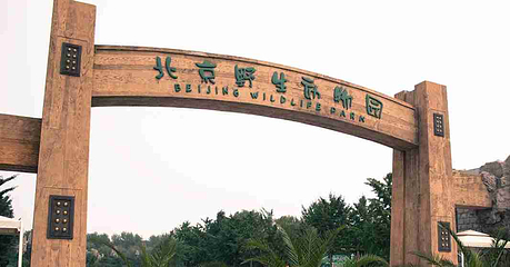 北京野生动物园第 235 张图片
