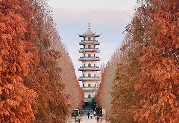 中华麋鹿园第 61 张图片