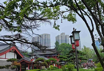 兴庆宫公园第 128 张图片