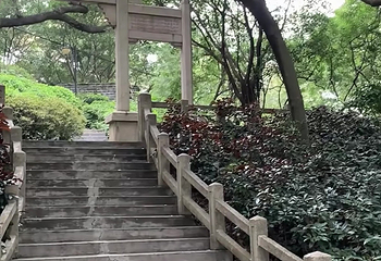 越秀公园第 236 张图片