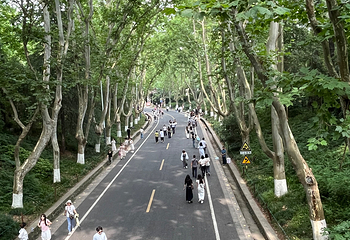 钟山风景名胜区第 177 张图片