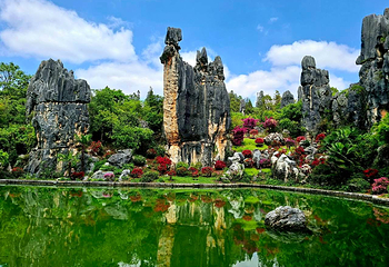 石林风景区第 15 张图片