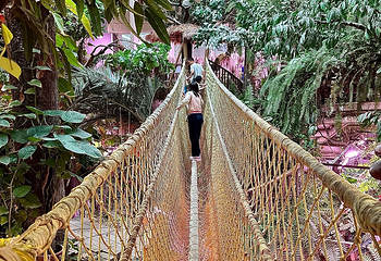 正佳广场商贸旅游区第 77 张图片