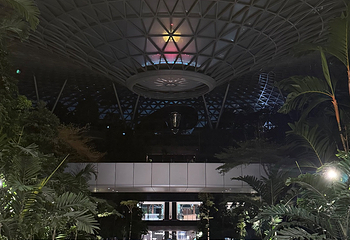 星耀樟宜第 255 张图片