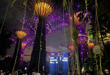 新加坡滨海湾花园第 460 张图片