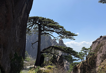 黄山风景区第 136 张图片