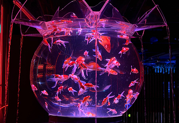 银座艺术水族馆美术馆第 8 张图片
