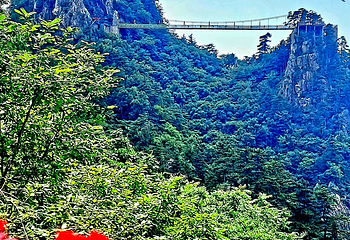 老界岭旅游度假区第 116 张图片
