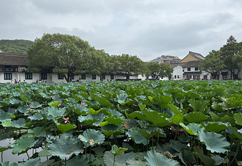 普陀山风景区第 108 张图片
