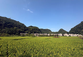 高荡千年布依古寨文化旅游景区第 16 张图片