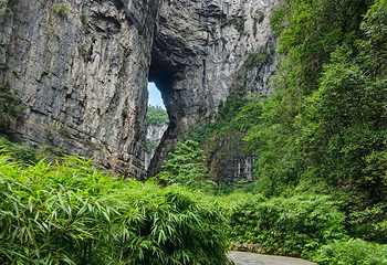 武隆天生三桥第 89 张图片